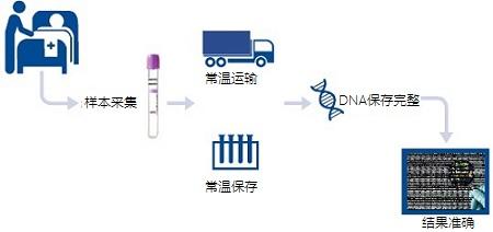 香港无创DNA产检