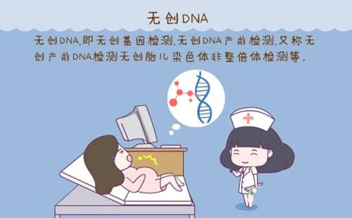 香港无创DNA产前检测