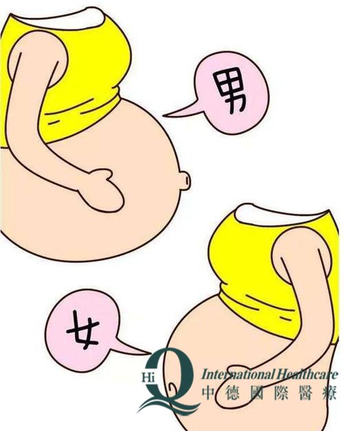 通过胎型如何知道宝宝男女？最准的还是科学看男女